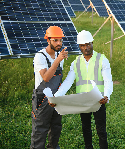 The late Sun Work for You